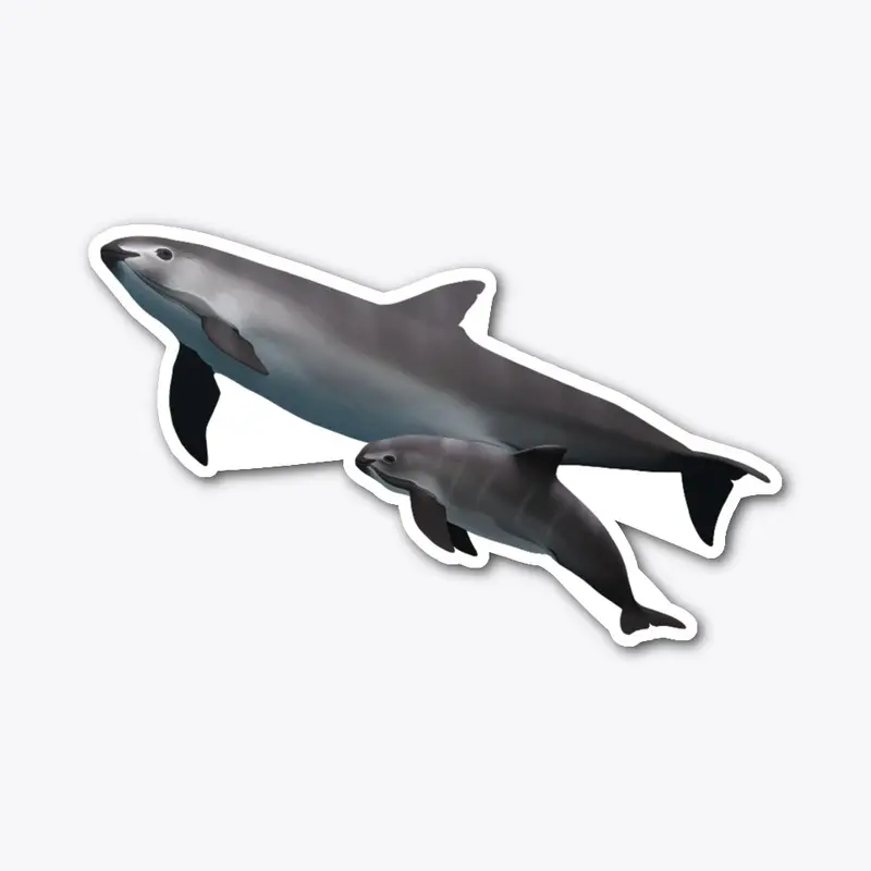 Save the Vaquita Mother and Calf